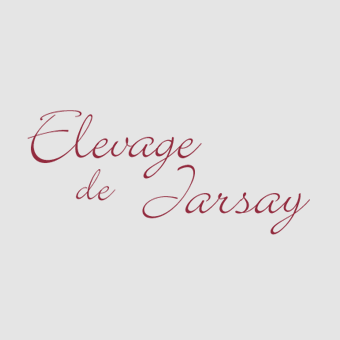 Elevage de Jarsay - vente et commerce de chevaux de sport
